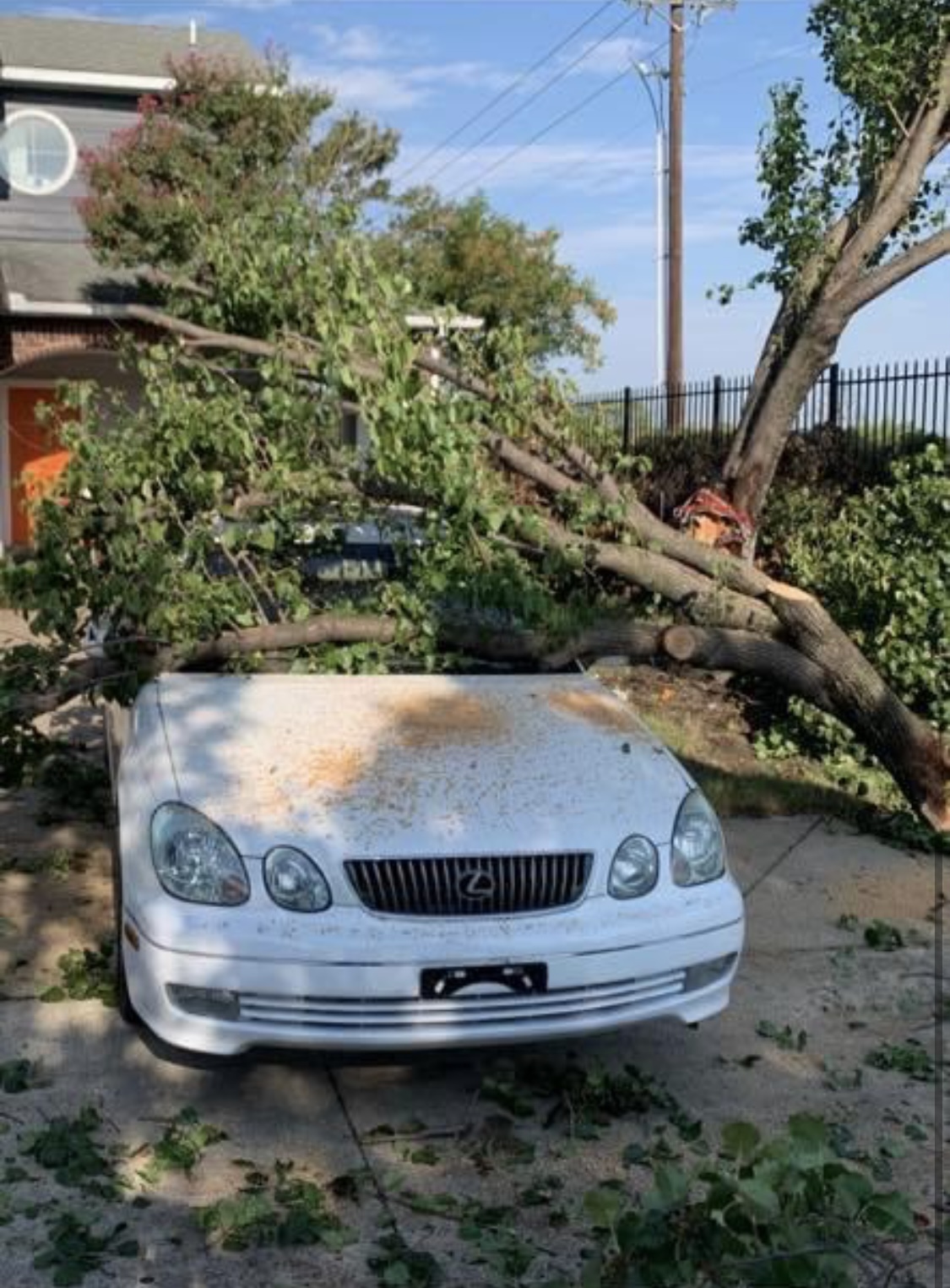 Storm Tree Damage by Plano Tree Care