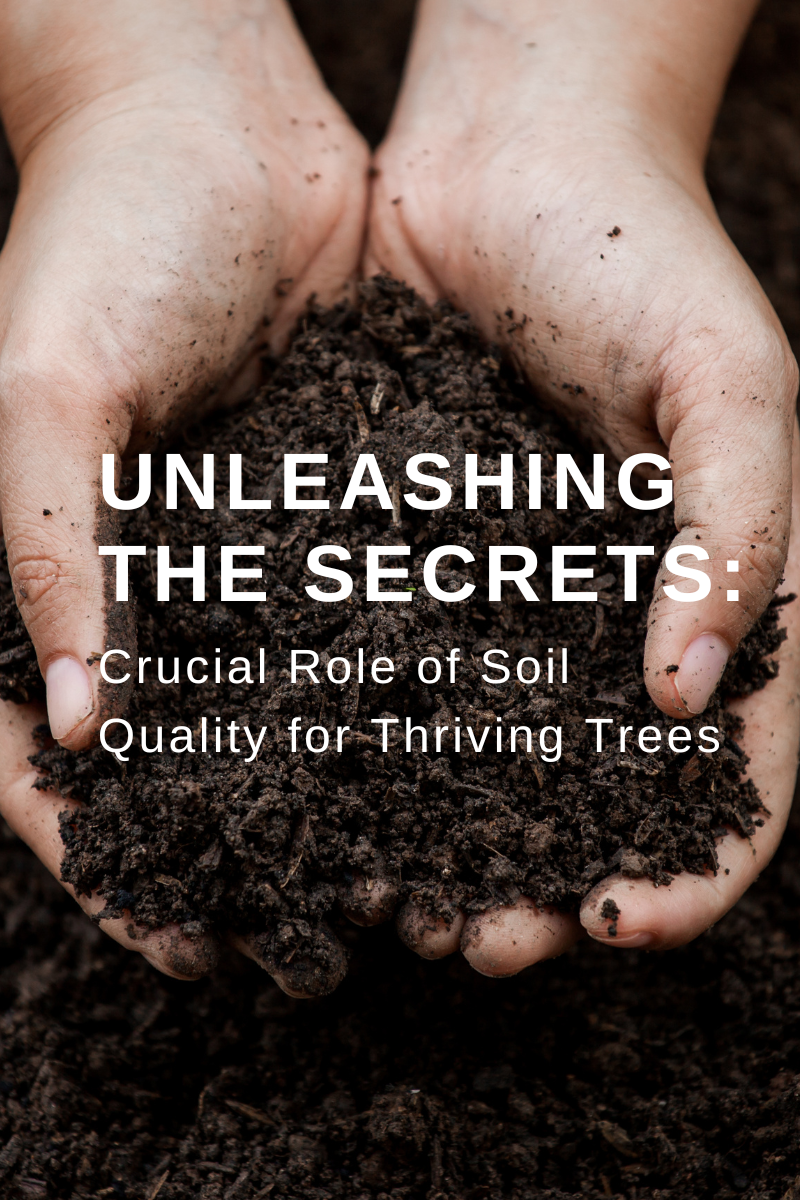 Unleashing the Secrets: Crucial Role of Soil Quality for Thriving Trees