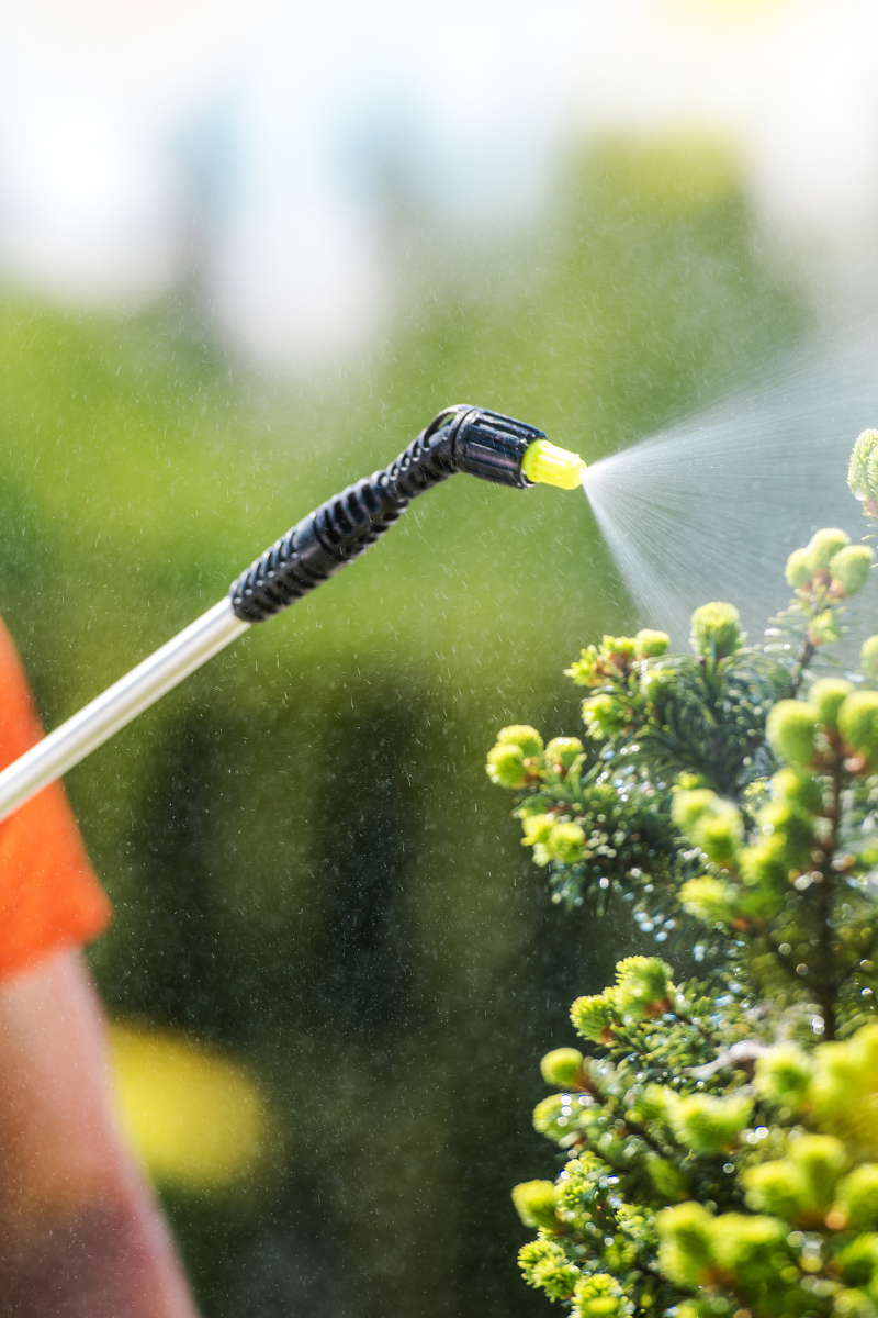 Tree Chemical Treatments